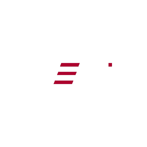 TWEMIX